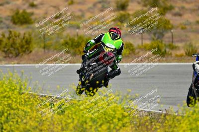 media/May-10-2024-2WTD (Fri) [[c88d7990af]]/Group C/Session 2-The Bowl/